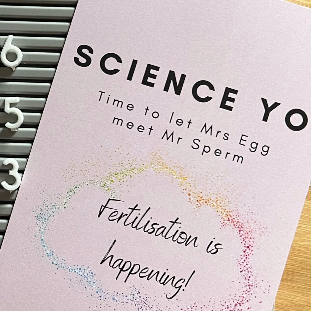 Positively Coco IVF Milestone Cards, NIB